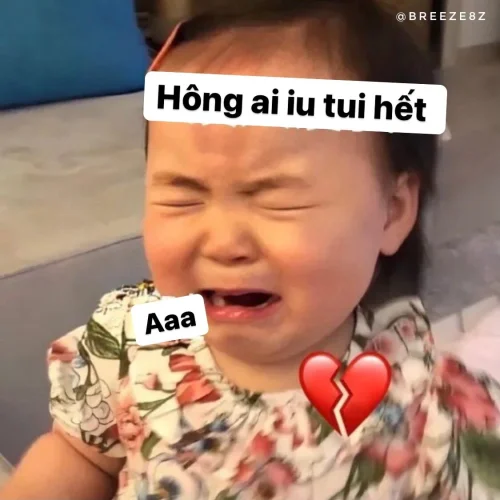 Meme buồn 17