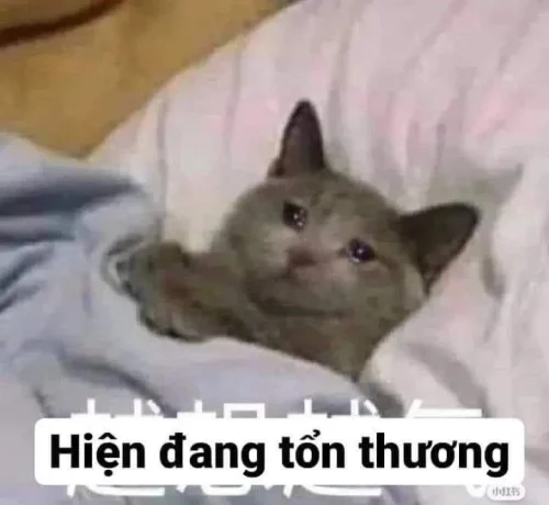 Meme buồn 23