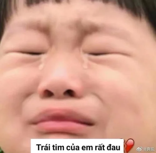 Meme buồn 27