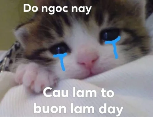 Meme buồn 28