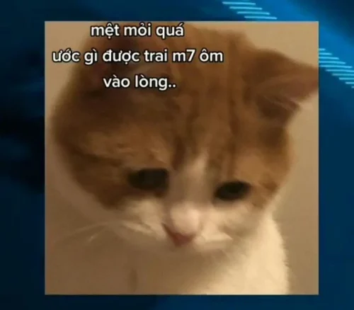 Meme buồn 36