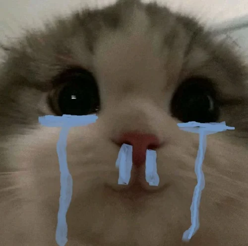 Meme buồn 50