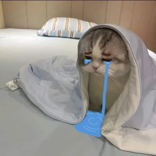 Meme buồn 6