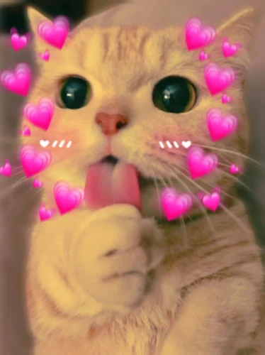 Meme buồn 29