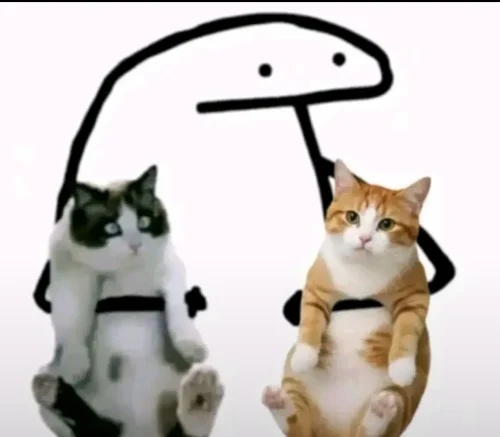 Meme cà khịa 29