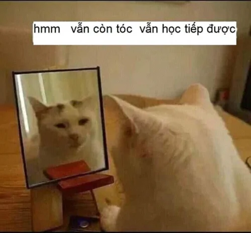Meme cà khịa 33
