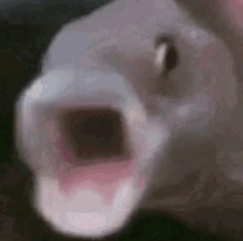 Meme cá 7