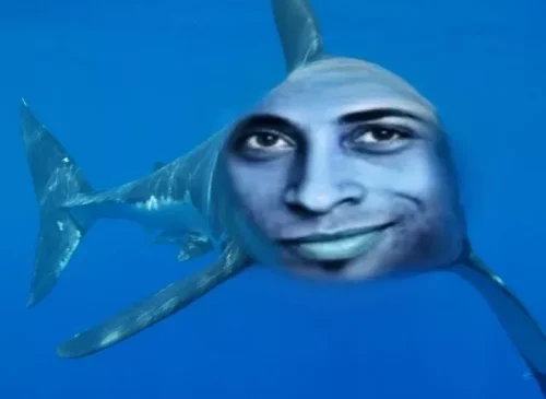 Meme cá 12