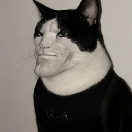 Meme cá 20