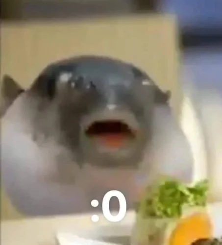 Meme cá 32
