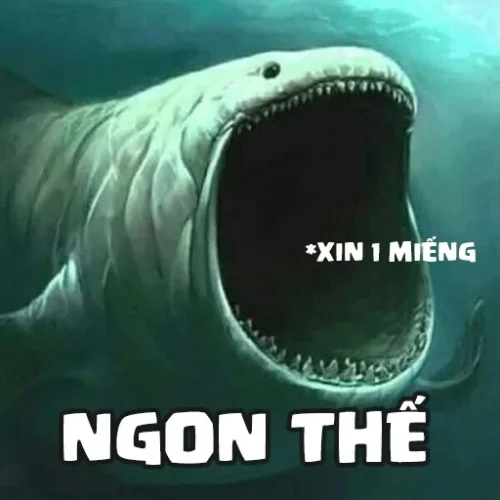 Meme cá 51