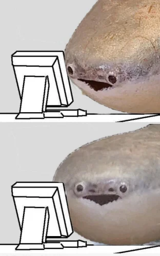 Meme cá 4