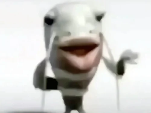 Meme cá 33