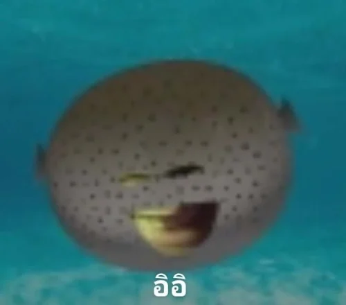 Meme cá 35