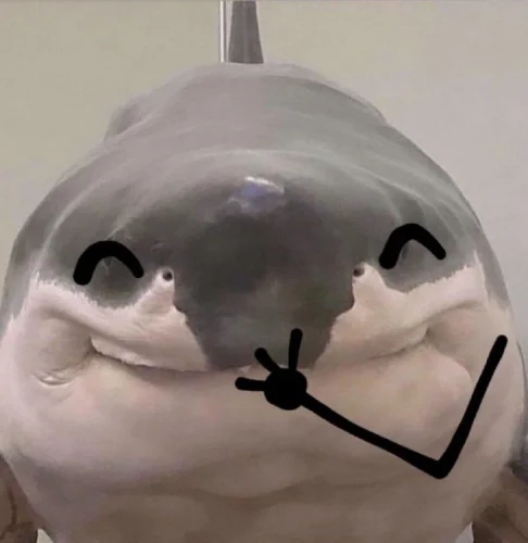 Meme cá 39