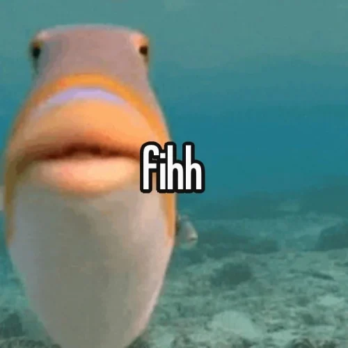 Meme cá 8