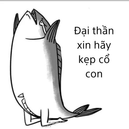 Meme cá 14