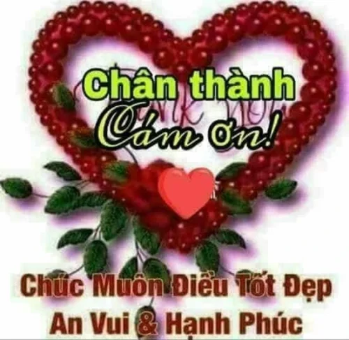 Meme cảm ơn 3