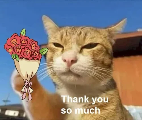 Meme cảm ơn 6