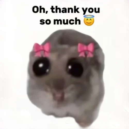 Meme cảm ơn 7