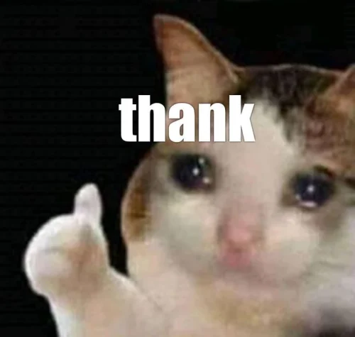 Meme cảm ơn 11