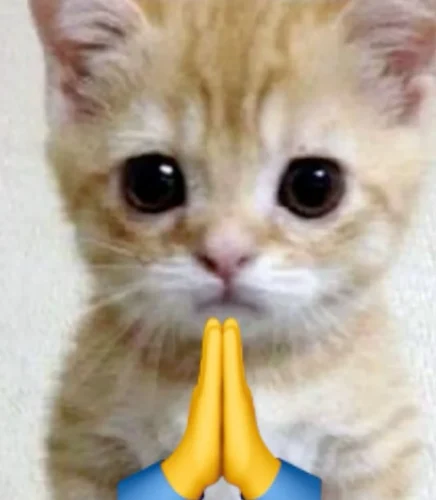 Meme cảm ơn 12
