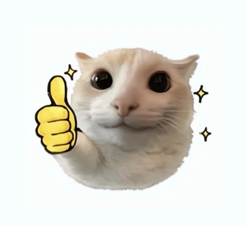 Meme cảm ơn 14