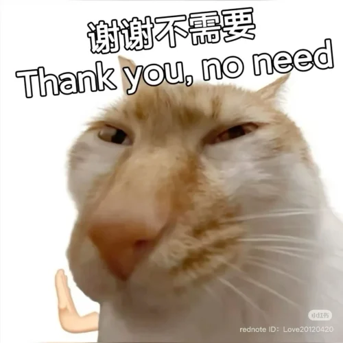 Meme cảm ơn 20