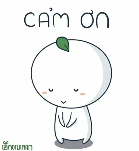 Meme cảm ơn 26