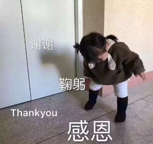 Meme cảm ơn 28