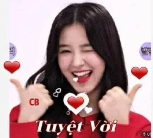 Meme cảm ơn 42