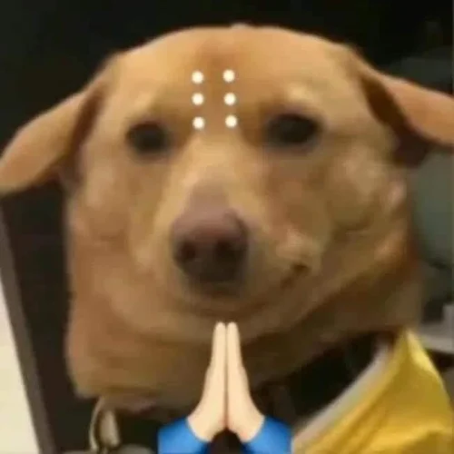 Meme cảm ơn 43