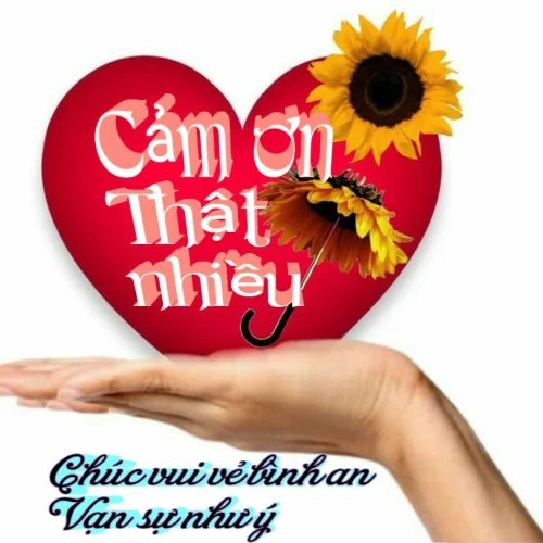 Meme cảm ơn 2