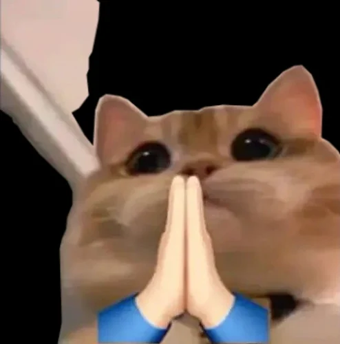Meme cảm ơn 6