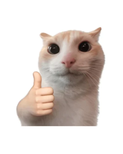 Meme cảm ơn 8