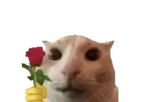 Meme cảm ơn 11