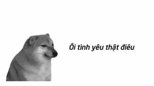 Meme cảm ơn 14