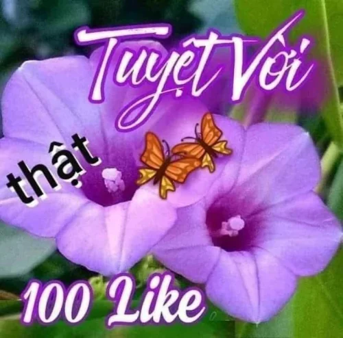 Meme cảm ơn 17