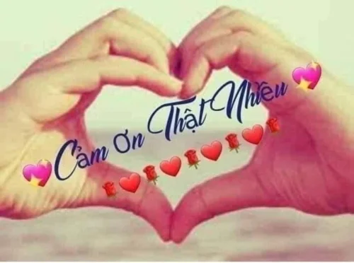 Meme cảm ơn 18