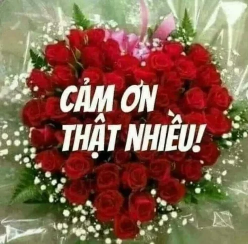 Meme cảm ơn 19