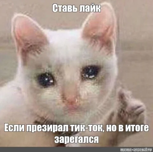 Meme cảm ơn 21
