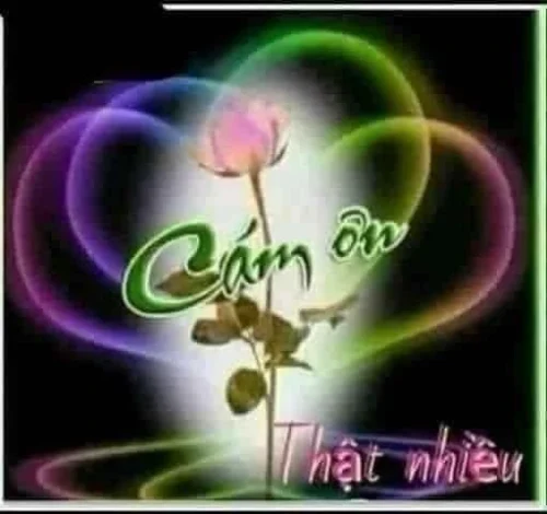 Meme cảm ơn 26
