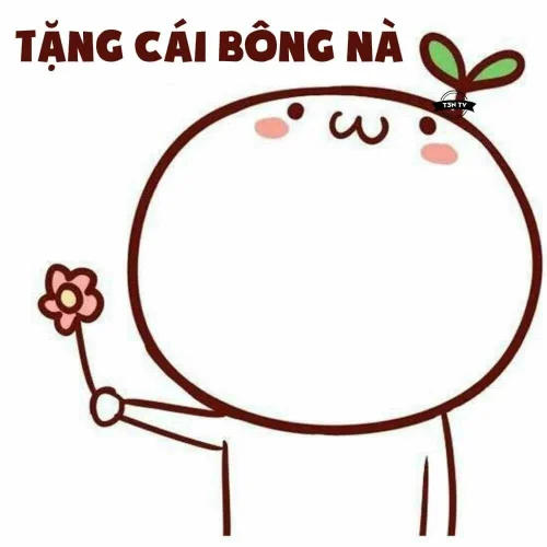 Meme cảm ơn 28