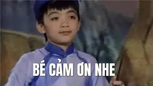 Meme cảm ơn 33