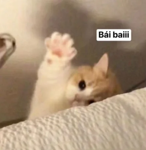 Meme cảm ơn 34