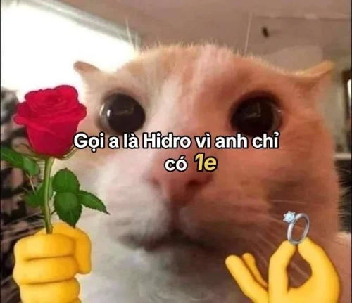 Meme cảm ơn 38