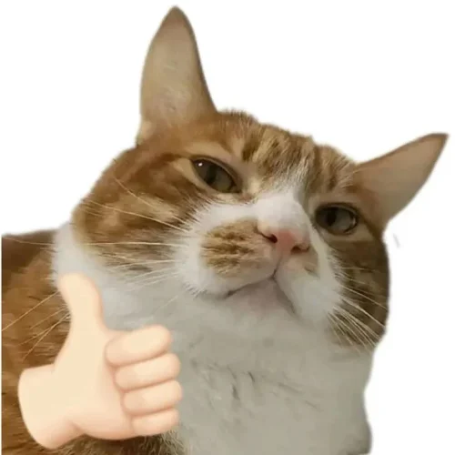 Meme cảm ơn 42