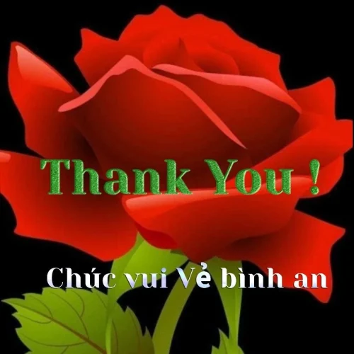 Meme cảm ơn 45