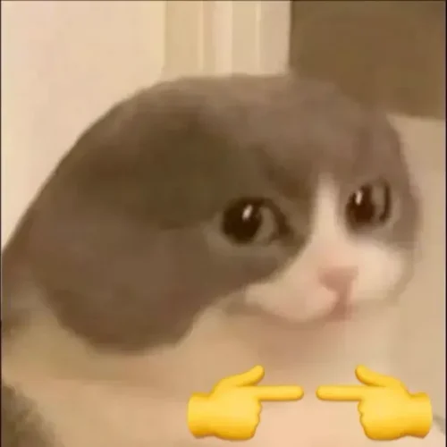 Meme cảm ơn 48