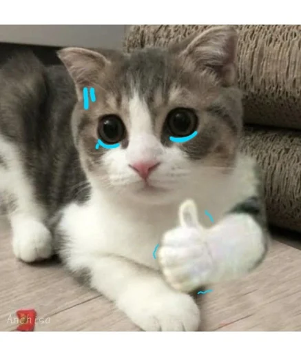 Meme cảm ơn 50